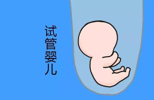 妇科专家